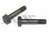 Close Tolerance Bolt