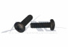 Black Instrument Screw