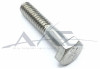 Hex Head Screw