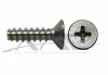 Sheet Metal Screw S/S