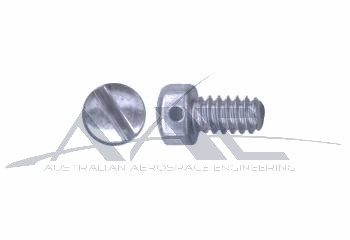 Fillister Head Screw