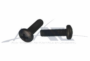 Black Instrument Screw