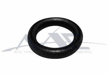 O-Ring / Packing